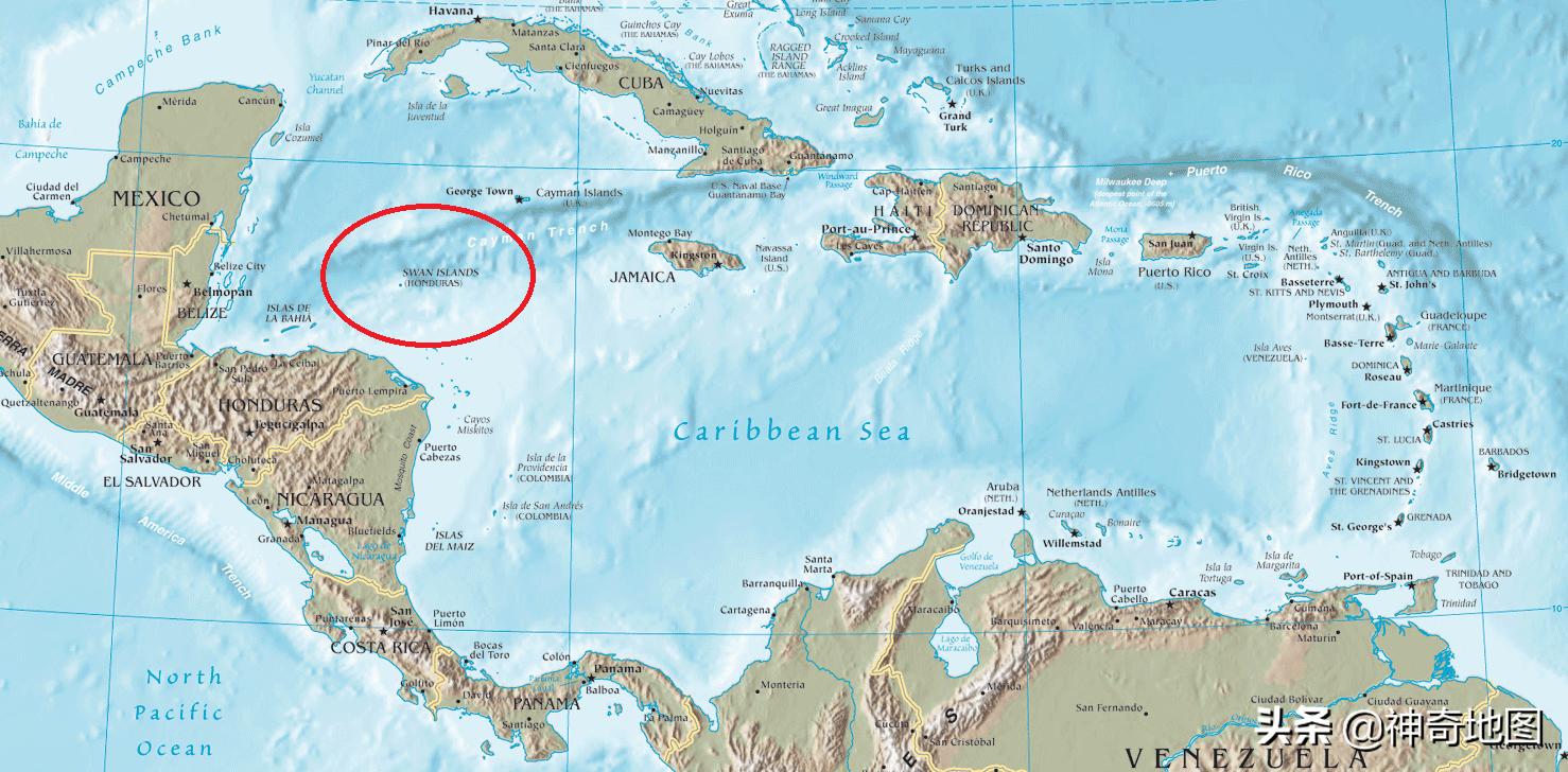 乱谈岛屿,102岛上的宝藏（TreasureontheIsland）