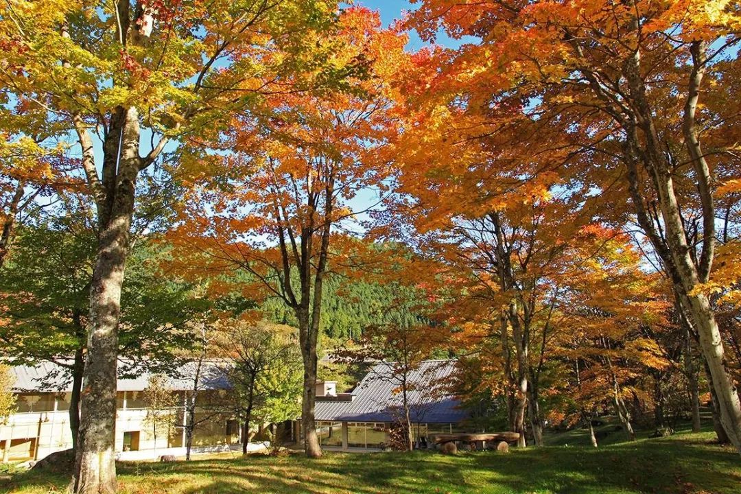 你没听过的温泉乡，竟然还藏着一家罗莱夏朵