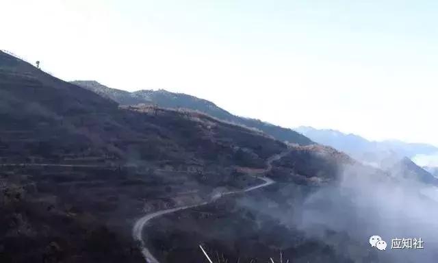 宁波踏青好去处自驾,宁波周边免费踏青爬山