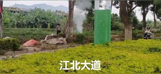 小车抄4遍摩托抄2遍！南安又有一批人因违停抄8113字条例