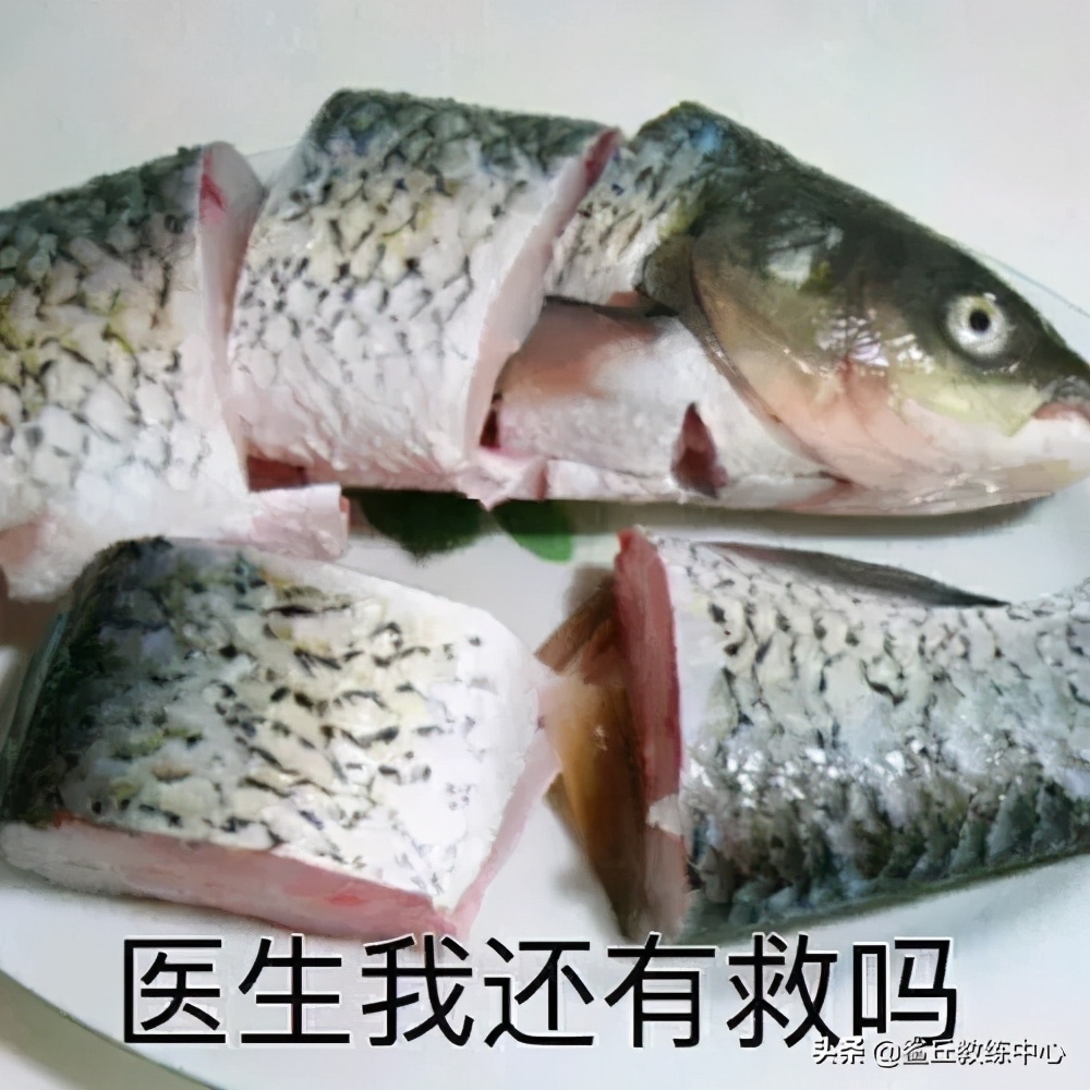 小腿大腿太有肉怎么减成筷子腿,大腿小腿特别粗怎么能减下去