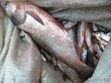 道士镜泊湖,镜泊湖道士山简介