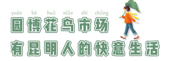 逛逛园博花鸟市场,园博花鸟市场攻略