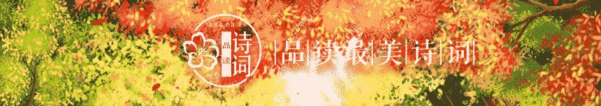 最经典的自嘲诗句,句句戳心的自嘲诗句