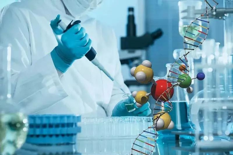 45岁金喜善素颜,金喜善冻龄秘密