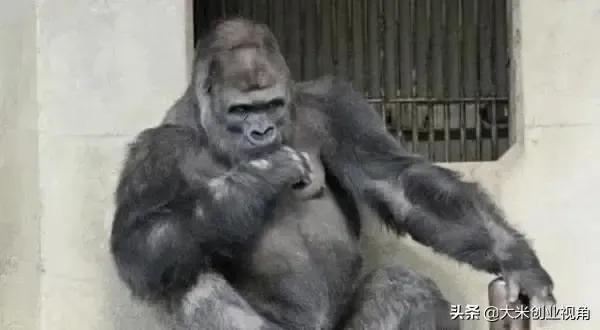 当你问一百个男人你喜欢网红吗,不喜欢网红脸的男生