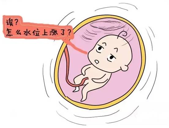 不显怀肚子小,不显怀但是肚子大