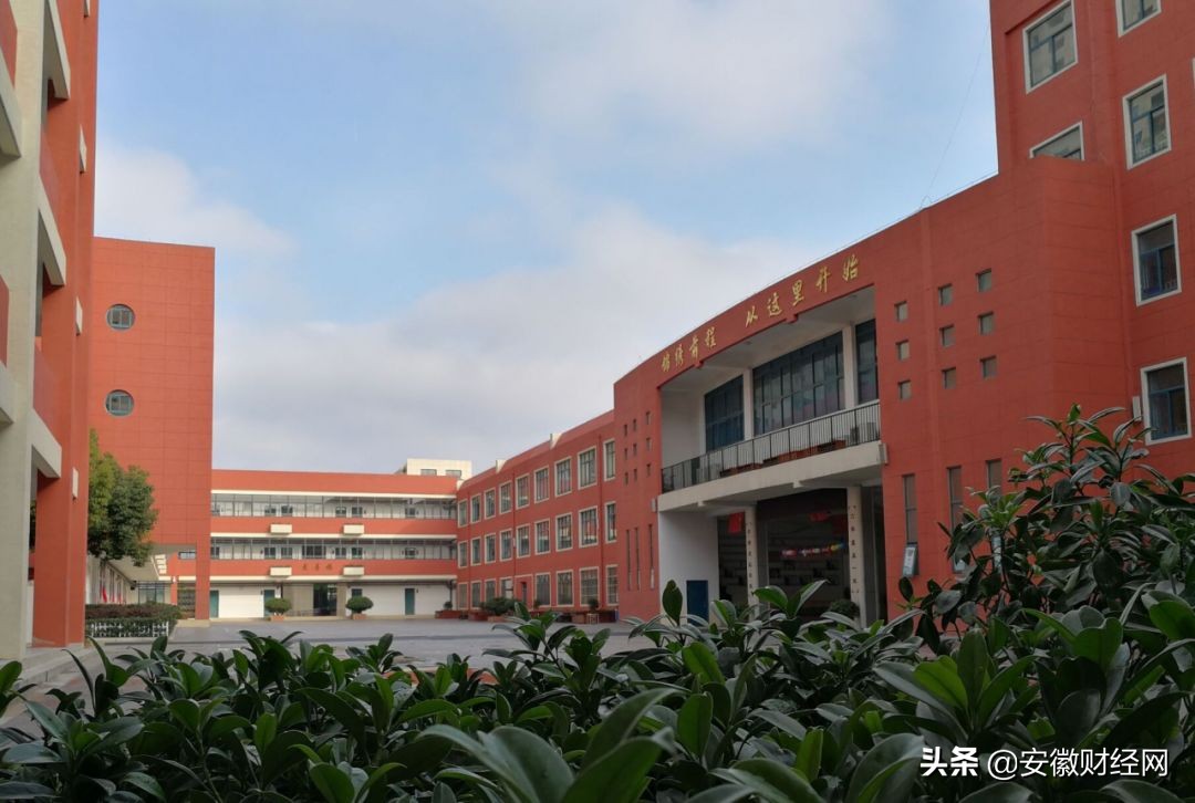 花都开好了现场完整版,花都开好了合唱合拍