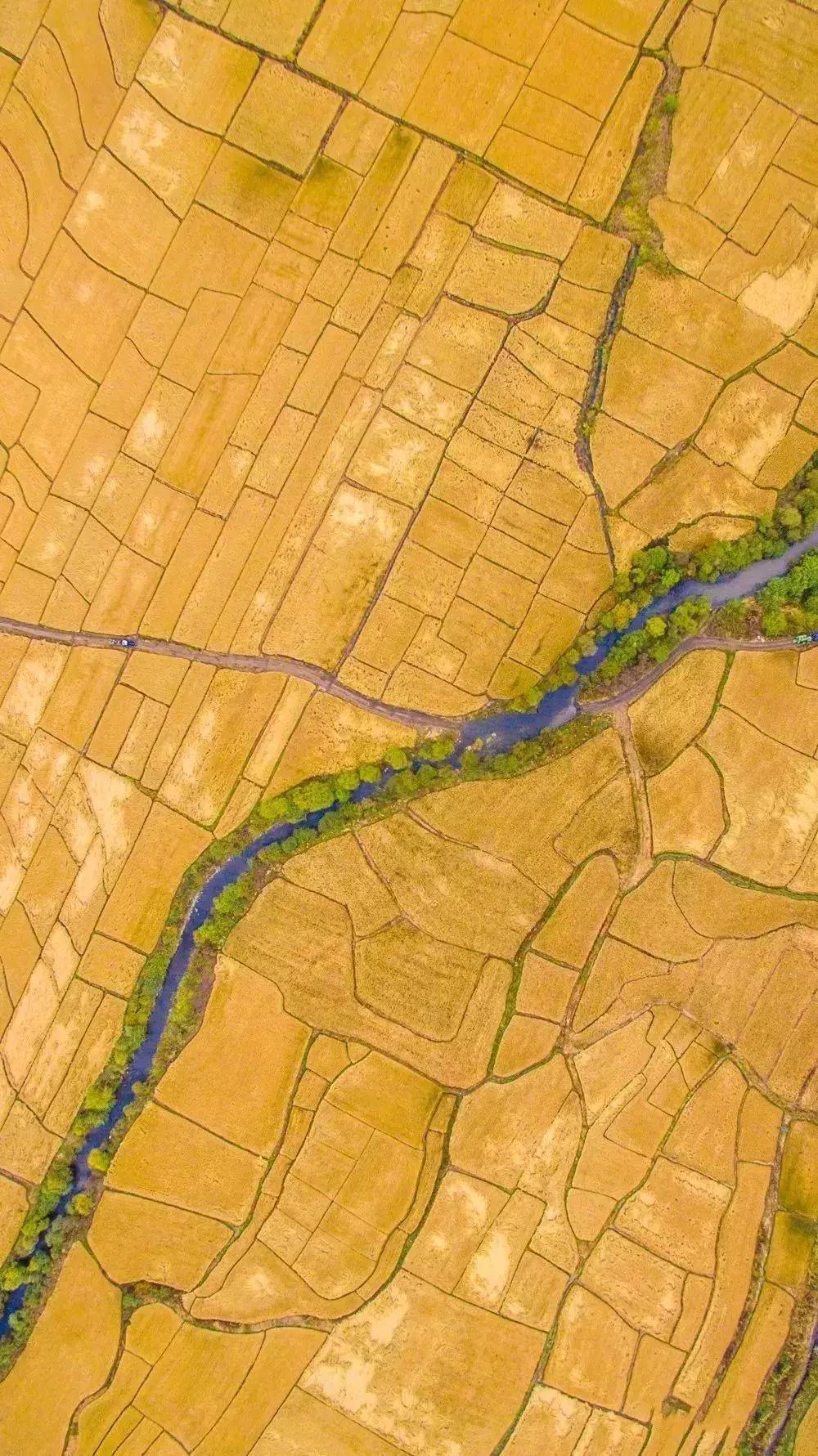 致敬祖国绘画作品高难度,关于祖国的手绘画