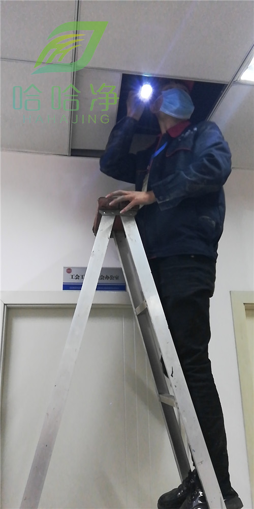 重庆灭鼠服务报价,重庆灭鼠公司哪家强