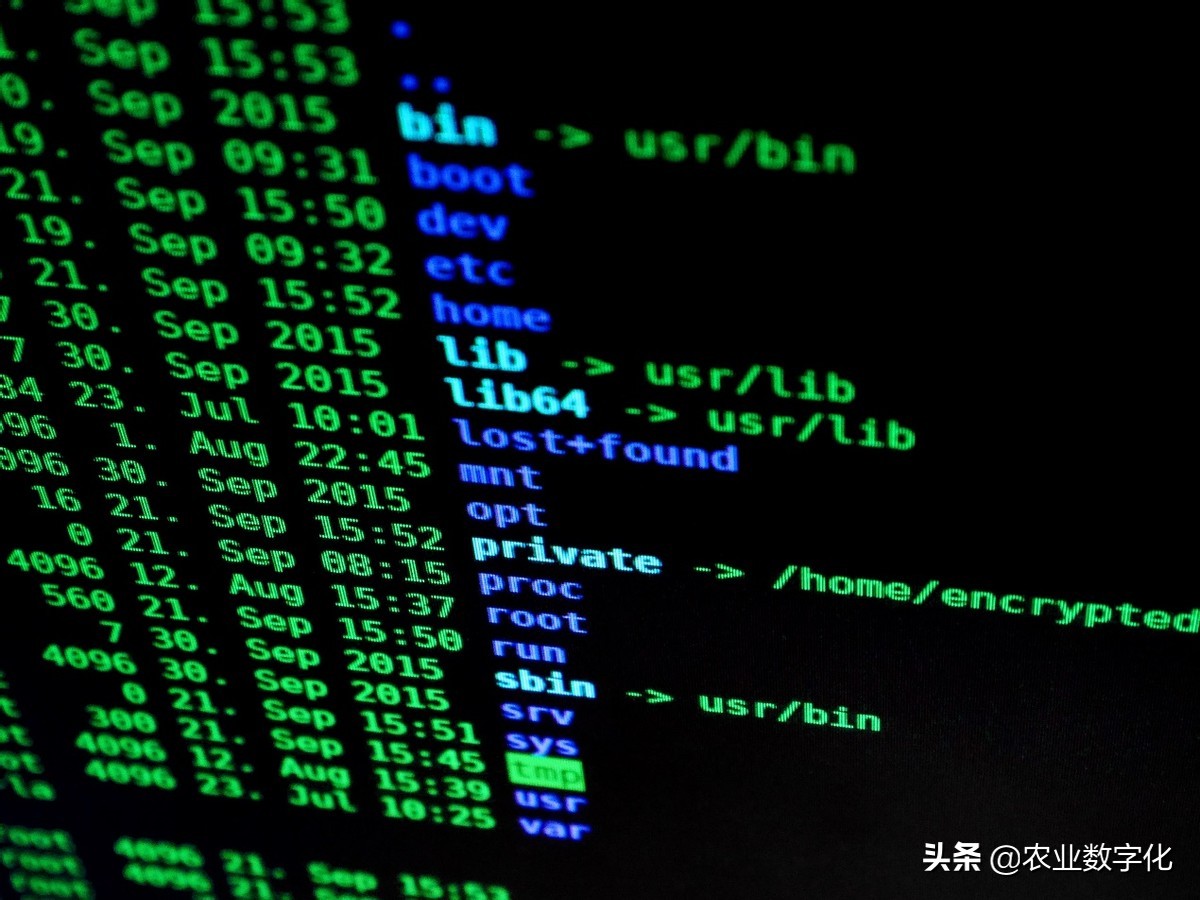 中国农业品牌建设的六大战略,我国农业品牌建设取得积极进展