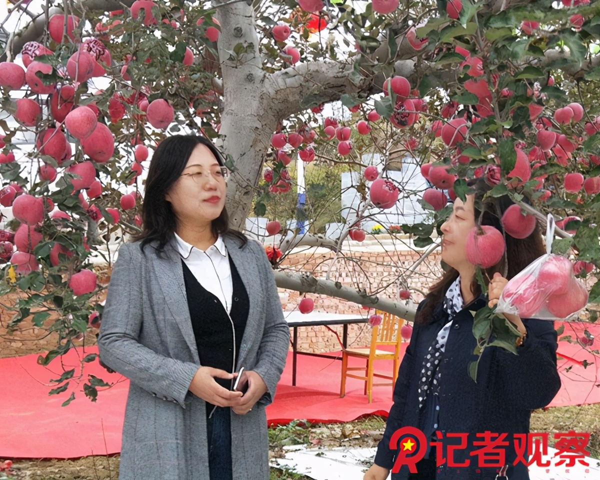 走进苹果之乡,吉县苹果小镇