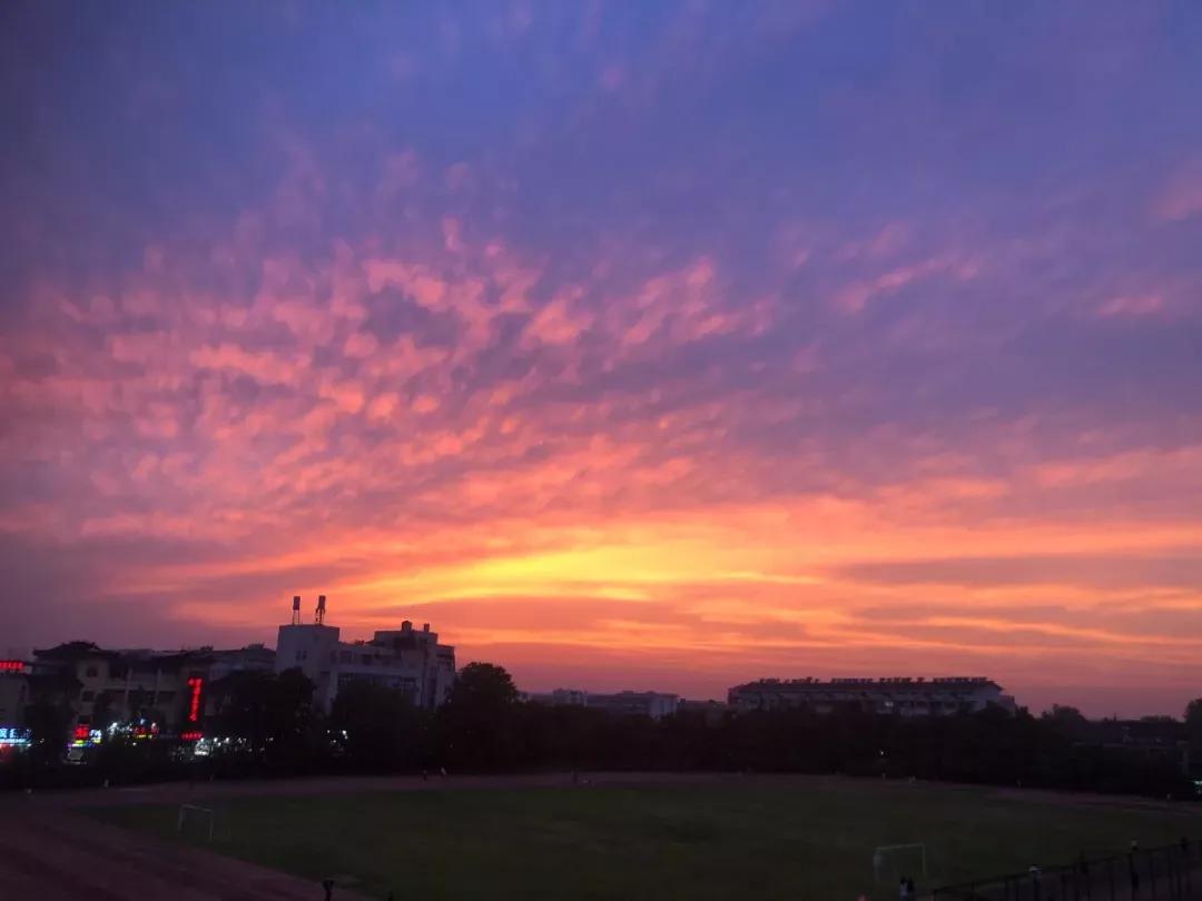 江苏省高校（九）扬州大学