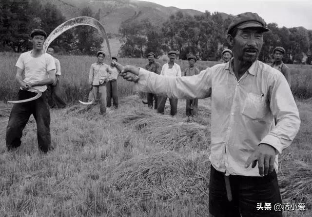 60年代新西兰,六十年代新西兰