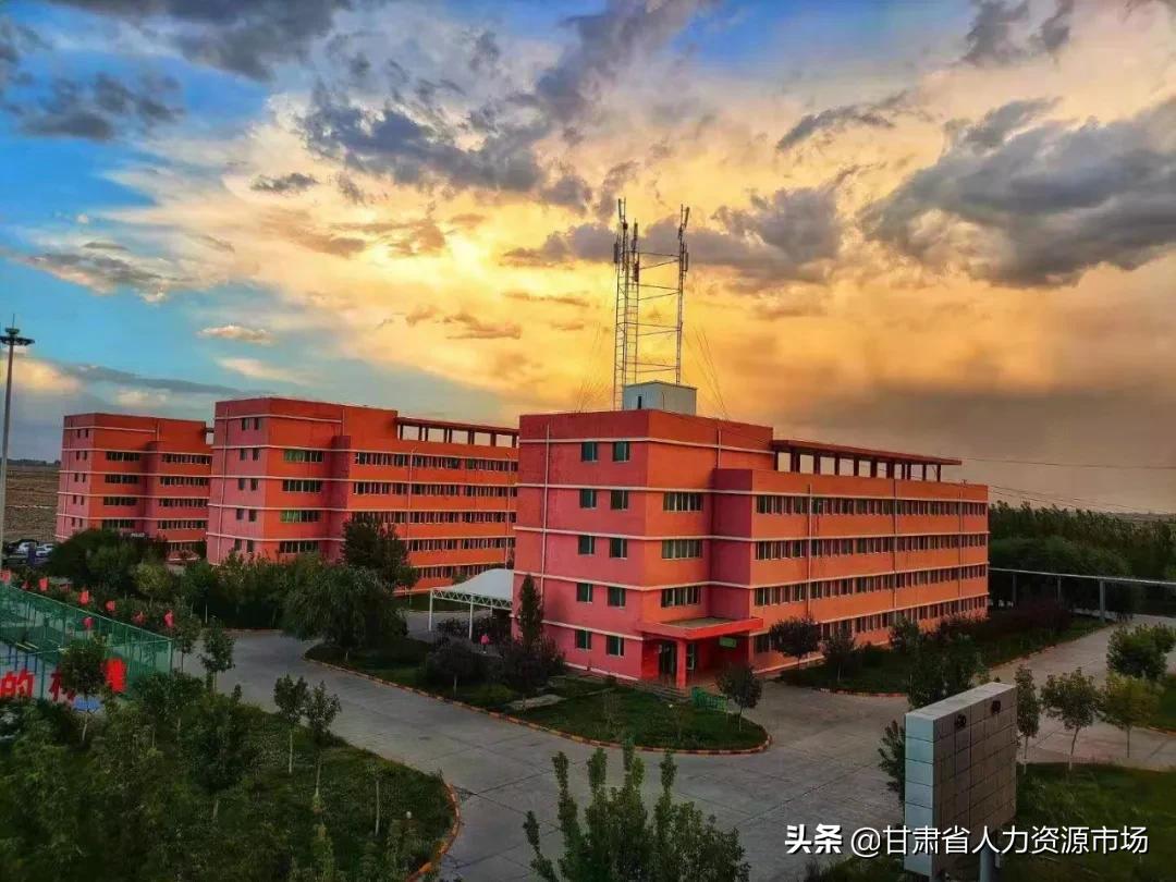 金晖兆丰焦化有限公司招聘,新疆金晖兆丰焦化有限公司海拔