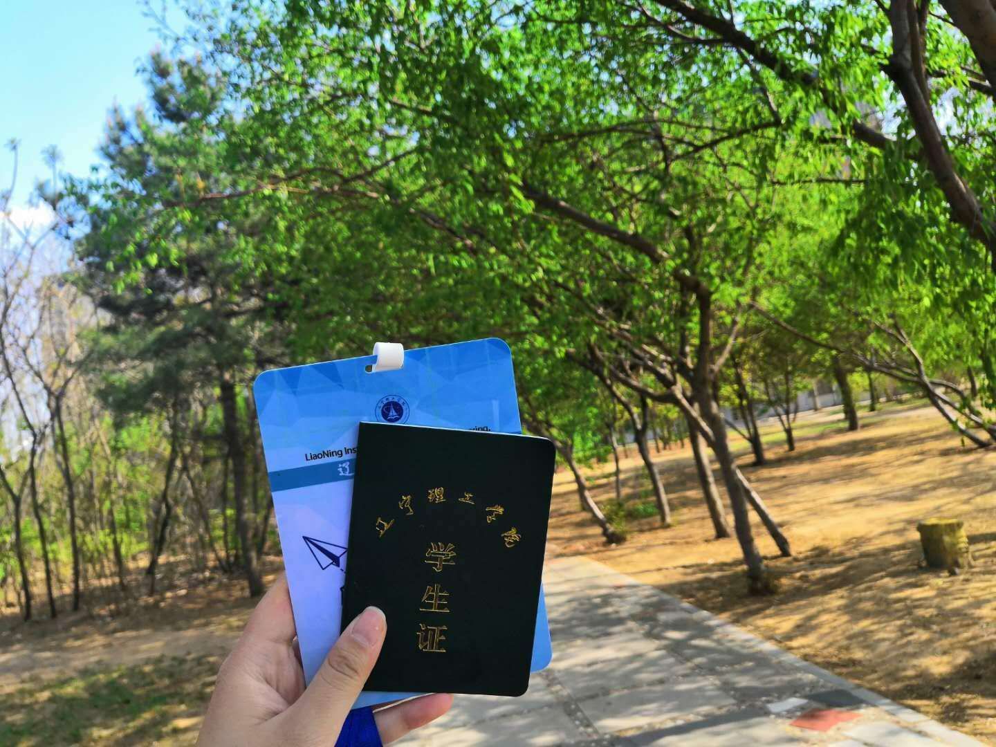 当家乡染上辽理的颜色