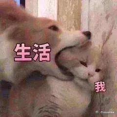 中国黑户纪录片,1998年中国扫黄纪录片