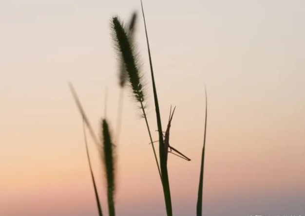 短期投资理财方法,普通人投资理财稳健的投资方法