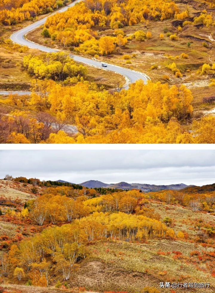 冬季克旗旅游自驾游攻略,克什克腾旗看秋色攻略