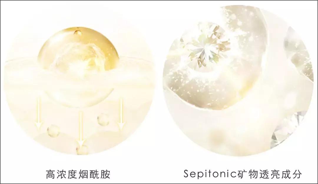 骞村害鐖辩敤绮惧崕娴嬭瘎,鍥炶喘100娆＄殑浜у搧