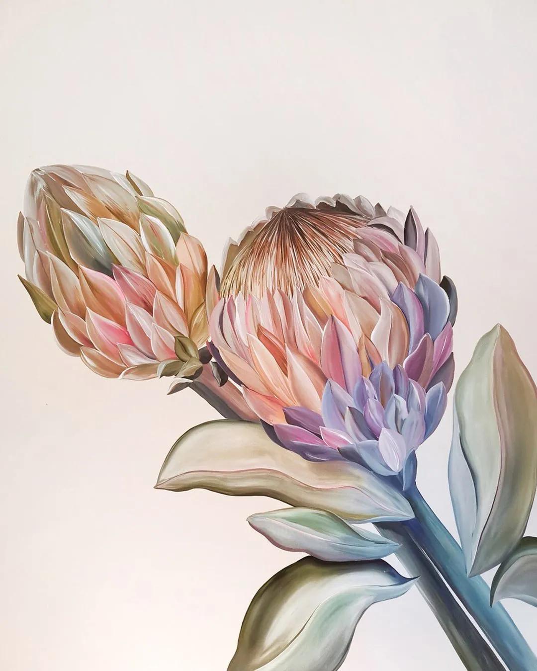 花卉墙绘,墙绘花卉色彩作品