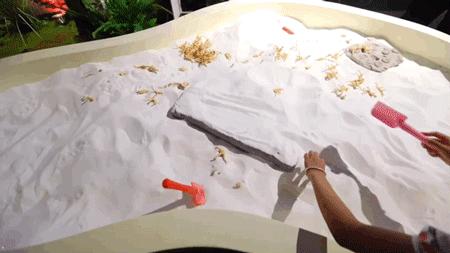 恐龙嘉年华活动抢先看,超劲爆恐龙展免费送