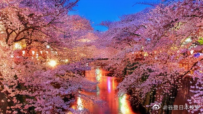 2021日本出国签证什么时候能办,2022年日本商务签证办理需要多久