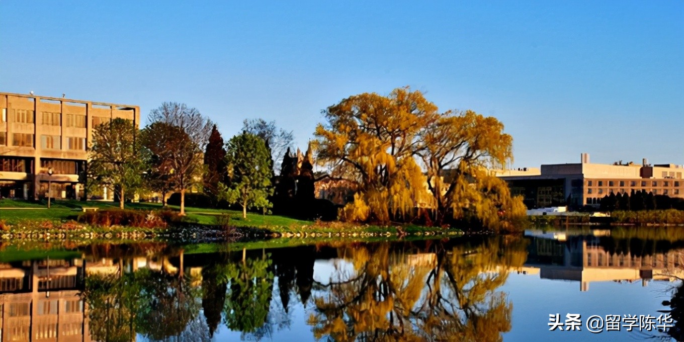 abet是什么品牌,abet是什么材料