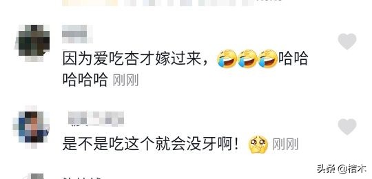 “heng”奶奶直播卖杏，一周卖出40箱，没牙也要给粉丝试吃