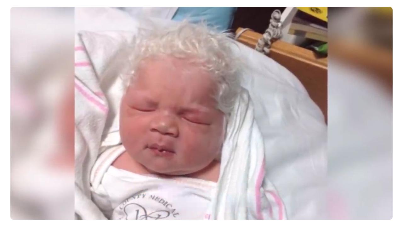 全世界最聪明的小孩智商是多少,世界十个天生奇异的孩子