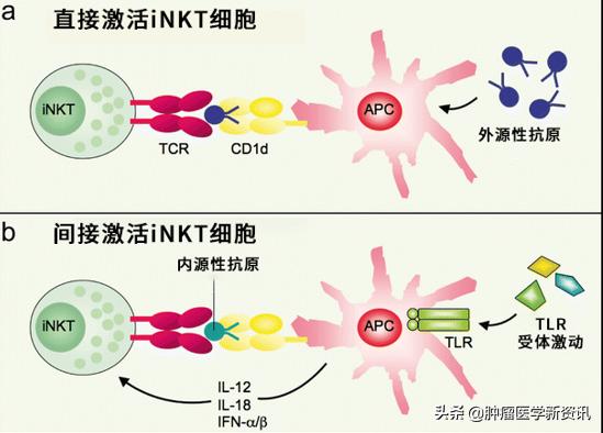 一位患者的真实抗癌经历,一位母亲的抗癌历程