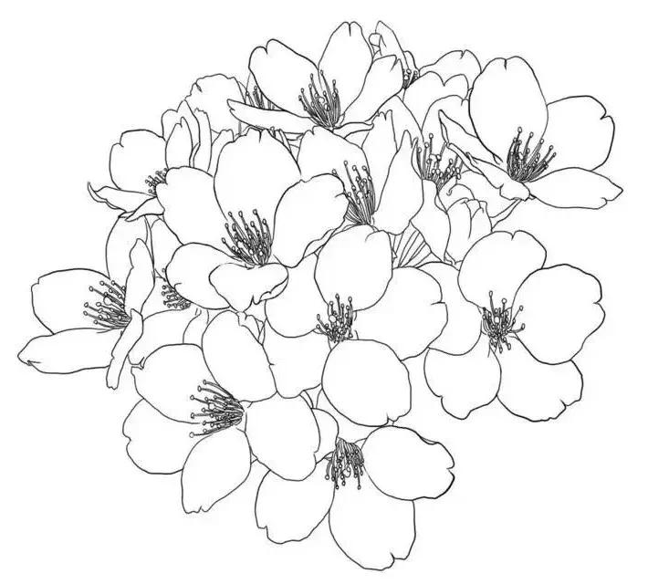 指间自由花艺，为己而生的匠心|匠人采访