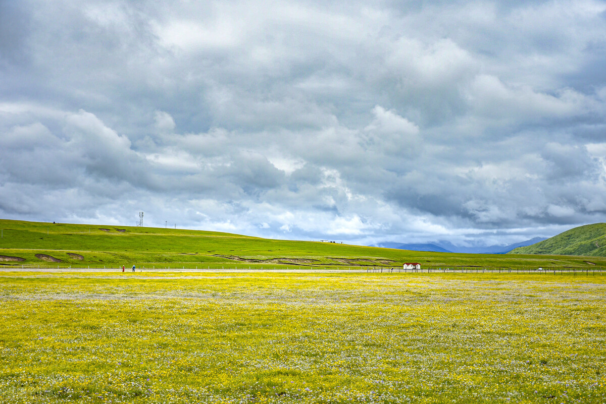九色甘南之旅,九色甘南净土天堂深度之旅攻略