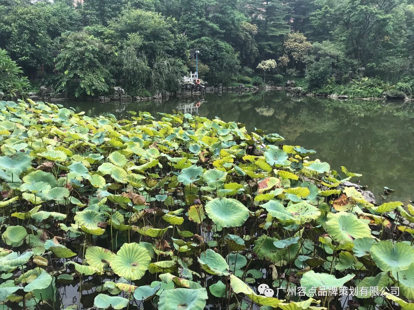 容点案例|咏春有米——吃好饭，练好功，一起闯江湖！