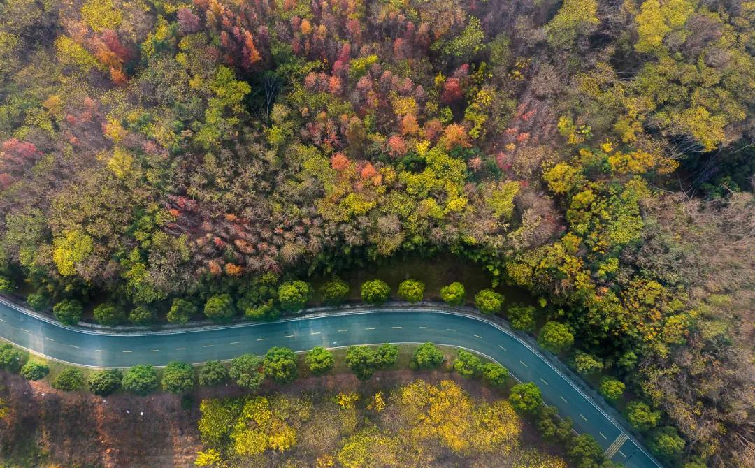 就在明天!江宁红盘营销中心即将盛大公开,改善人群纷纷出动