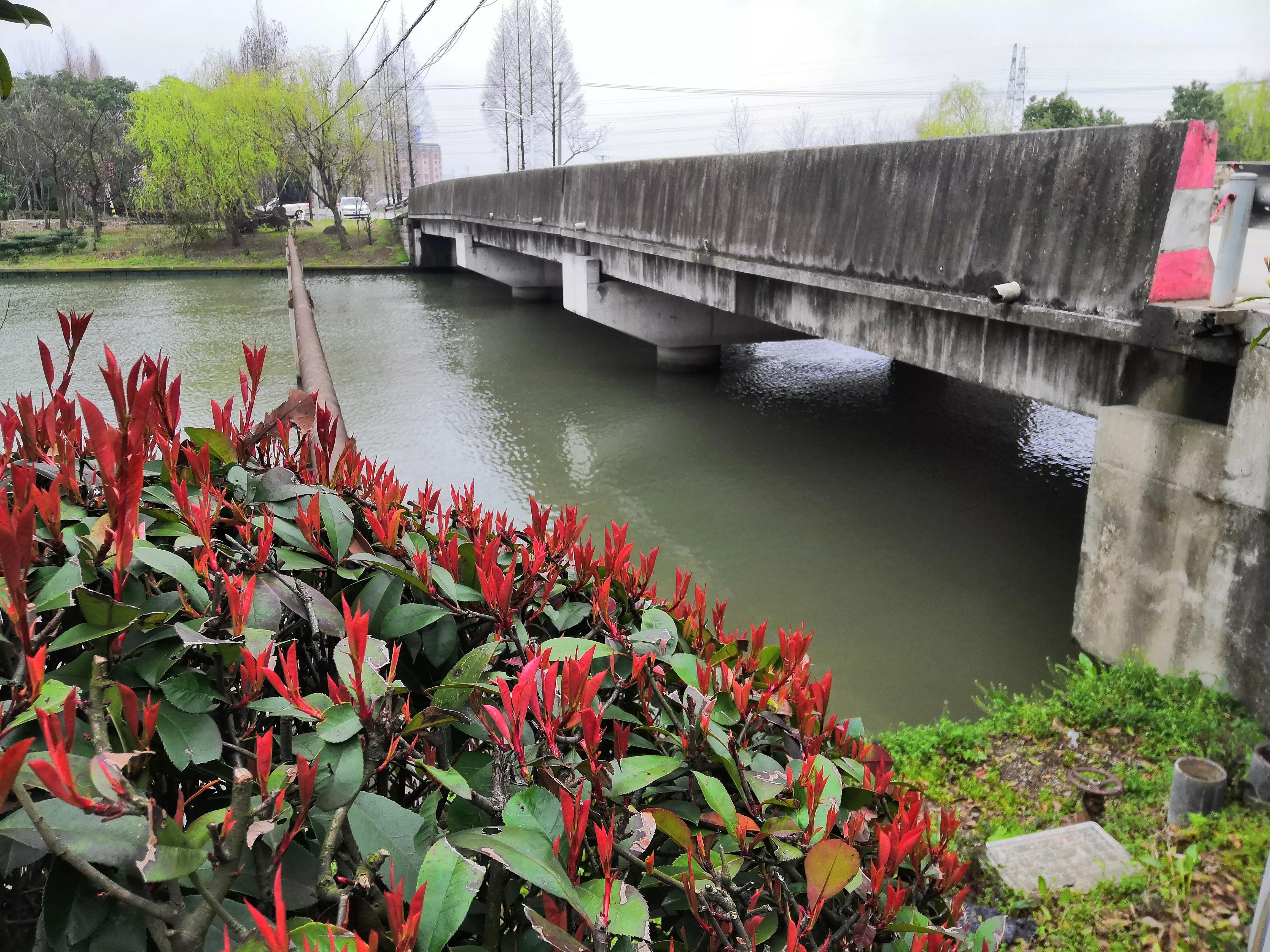野钓怎么打竿容易上鱼,野钓没口就上鱼怎么回事