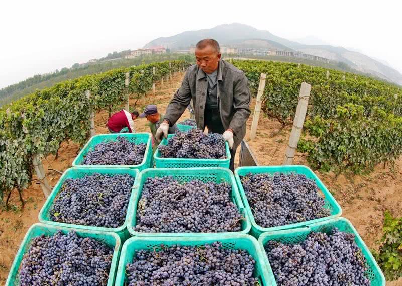 乡村公路建设发展 (未来5年农村公路建设)