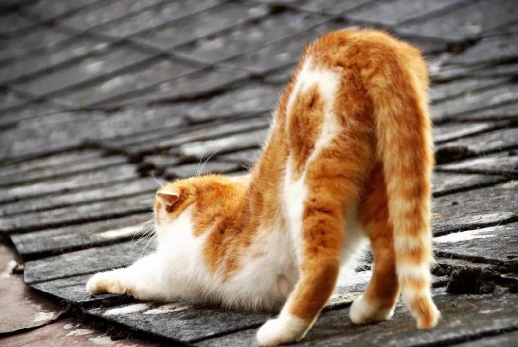 前列腺不好是不是不能久坐,久坐不动对前列腺有用吗