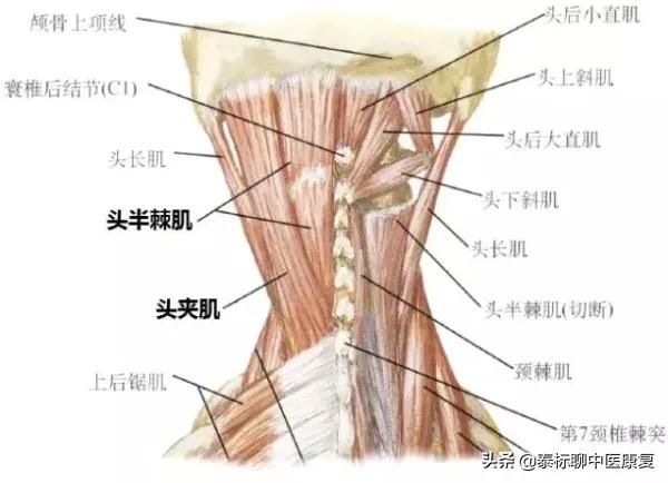 眩晕针刀,眩晕的埋线针刀治疗