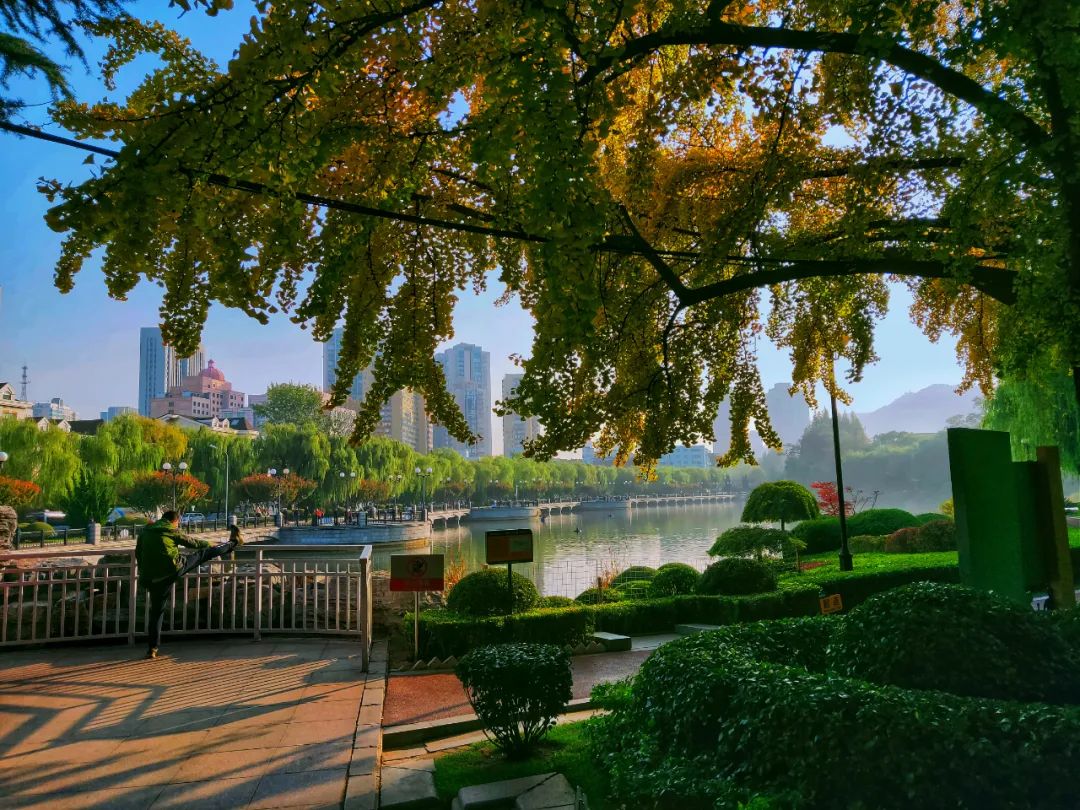 大连儿童公园，绿波荡漾的明泽湖，少了几分喧嚣，多了几分宁静