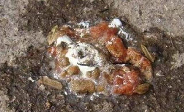 鸡拉稀喂阿莫西林和土霉素哪个好,鸡拉稀用什么偏方能治