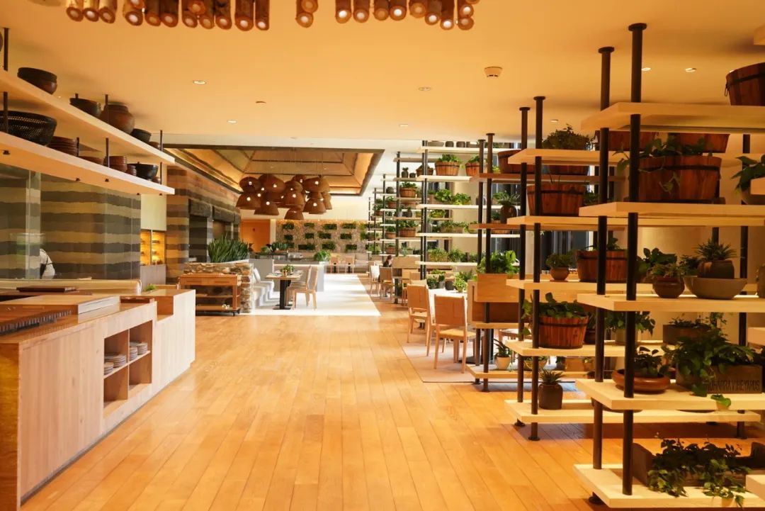 三亚这家酒店超适合度假,三亚环保酒店