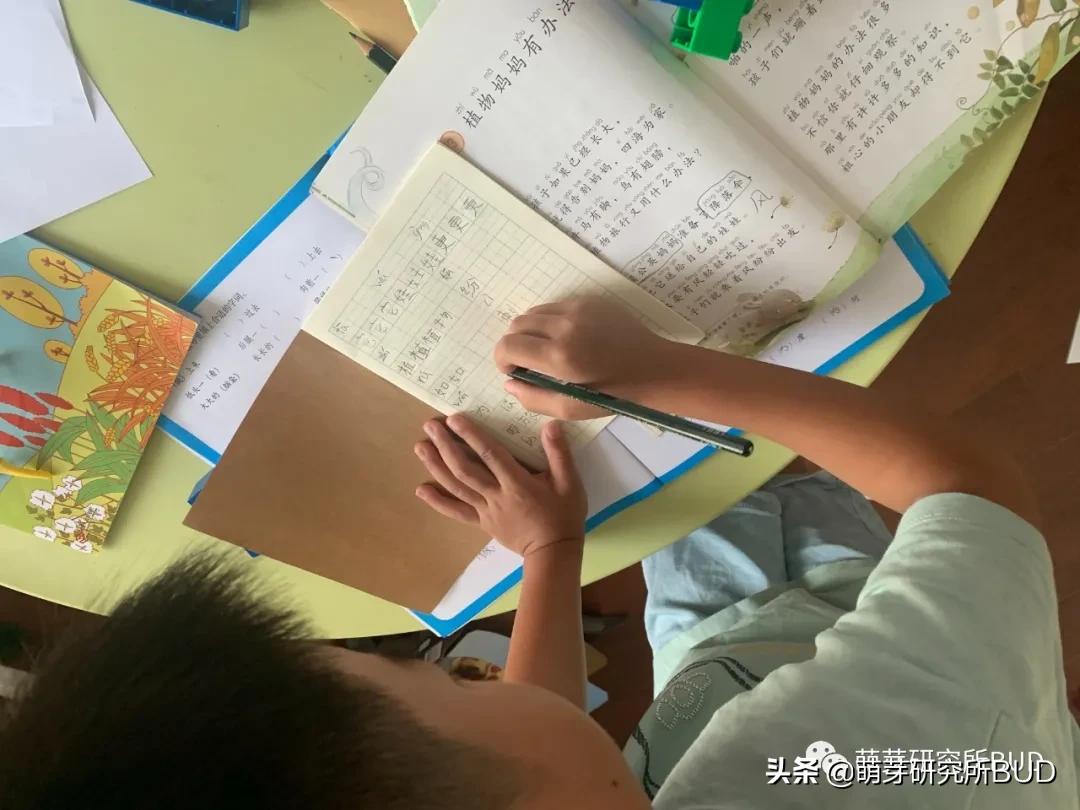 孩子写作业太慢太磨蹭教你7招,孩子写作业磨蹭慢怎么办