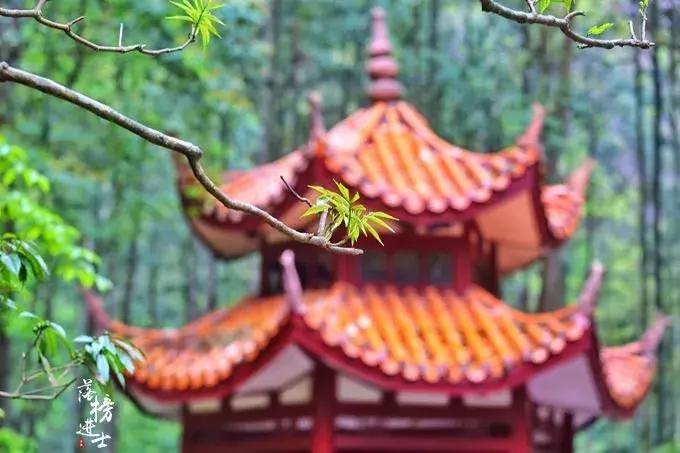 去张家界自助游攻略,张家界免门票自助游攻略图片真实