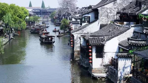 佛山顺德四小虎,四小虎之一顺德