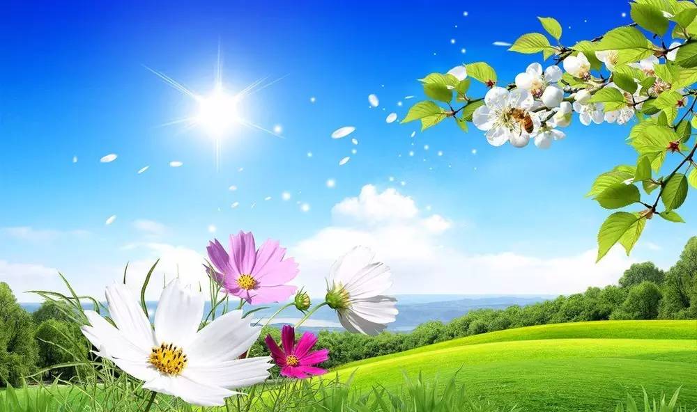 带你领略不一样的心情,带你领略不一样的异域风情