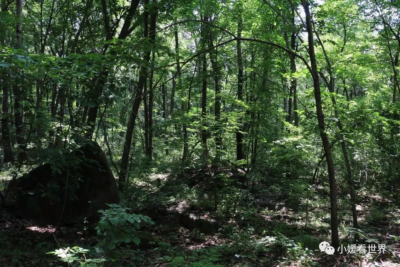 哈尔滨周边将军山,哈尔滨将军山森林公园