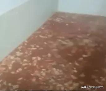 为什么不要吃20块钱的外卖,为什么不能点10几块钱的外卖