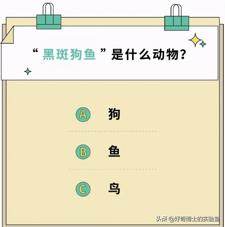 如何科学的判断自己的智商初二,怎么判断自己的智商