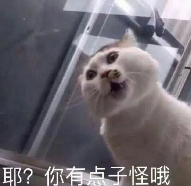 《青蛇劫起》用力过猛,扯到了胯